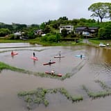 田んぼの中でのSAP 県議会 くらしにみる昭和の時代