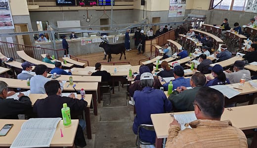 県議会議員として、しっかり務めてまいります！
