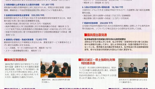 県議会レポートふれあい NO.31